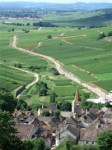pernand